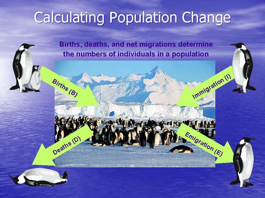 Calculating Population Change Births, deaths, and net migrations determine the numbers of individuals in