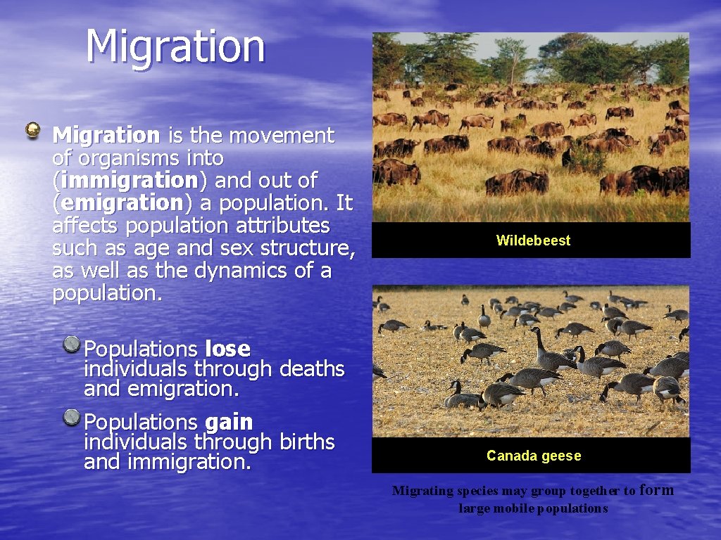 Migration is the movement of organisms into (immigration) and out of (emigration) a population.