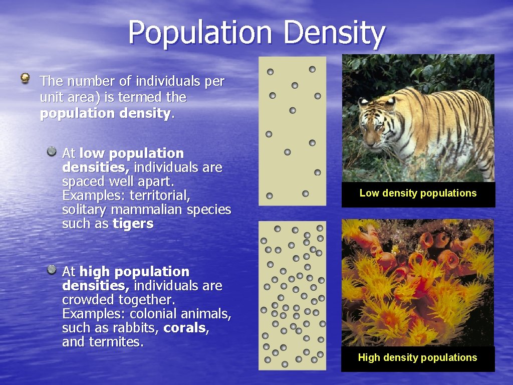 Population Density The number of individuals per unit area) is termed the population density.