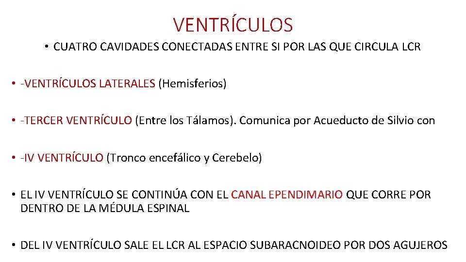 VENTRÍCULOS • CUATRO CAVIDADES CONECTADAS ENTRE SI POR LAS QUE CIRCULA LCR • -VENTRÍCULOS