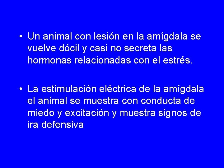  • Un animal con lesión en la amígdala se vuelve dócil y casi
