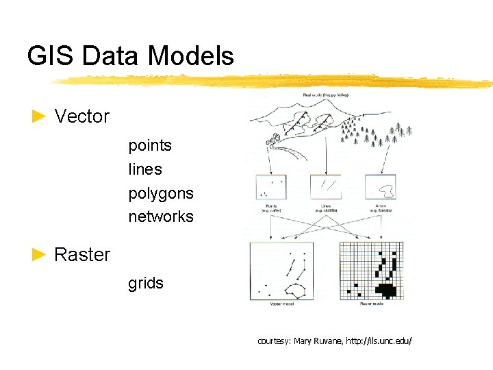 GIS Data Models ► Vector points lines polygons networks ► Raster grids courtesy: Mary