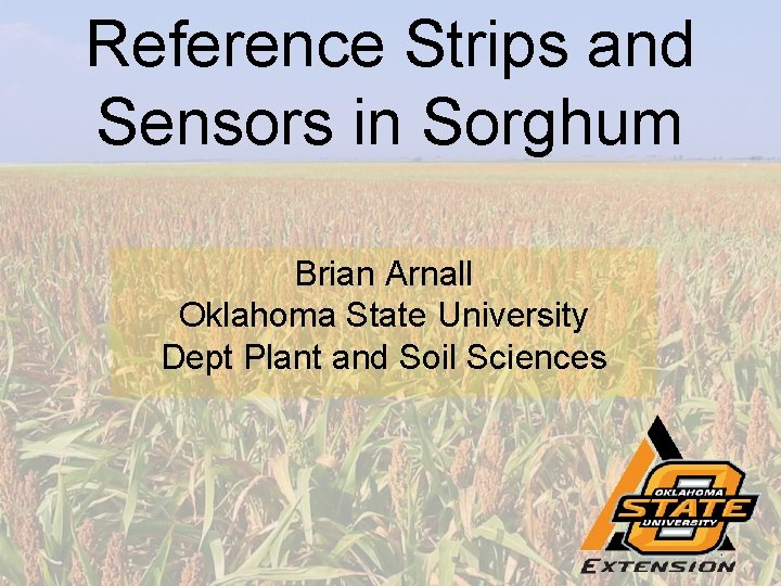 Reference Strips and Sensors in Sorghum Brian Arnall Oklahoma State University Dept Plant and