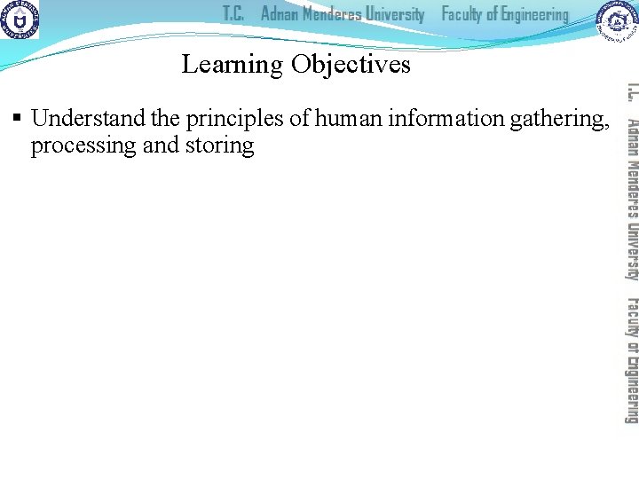 Learning Objectives § Understand the principles of human information gathering, processing and storing 