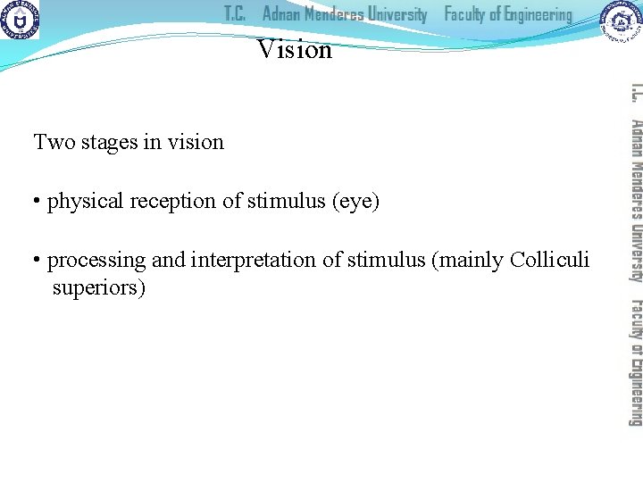 Vision Two stages in vision • physical reception of stimulus (eye) • processing and