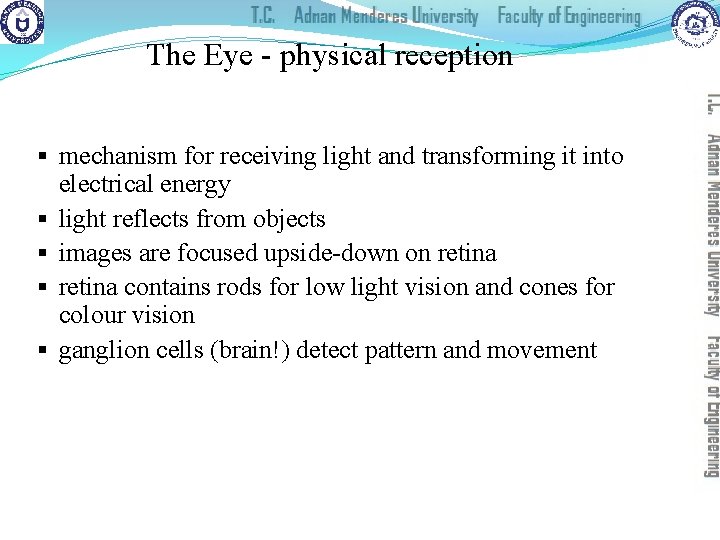 The Eye - physical reception § mechanism for receiving light and transforming it into