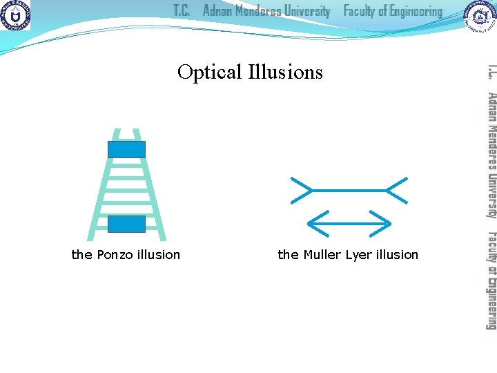 Optical Illusions the Ponzo illusion the Muller Lyer illusion 