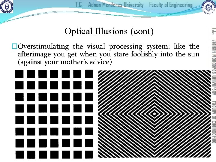 Optical Illusions (cont) �Overstimulating the visual processing system: like the afterimage you get when