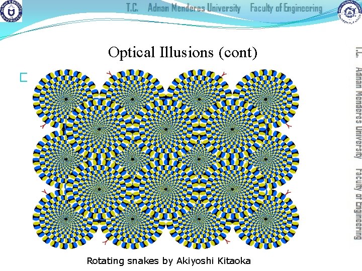 Optical Illusions (cont) �Saccades: Quick, rapid eye movements Rotating snakes by Akiyoshi Kitaoka 