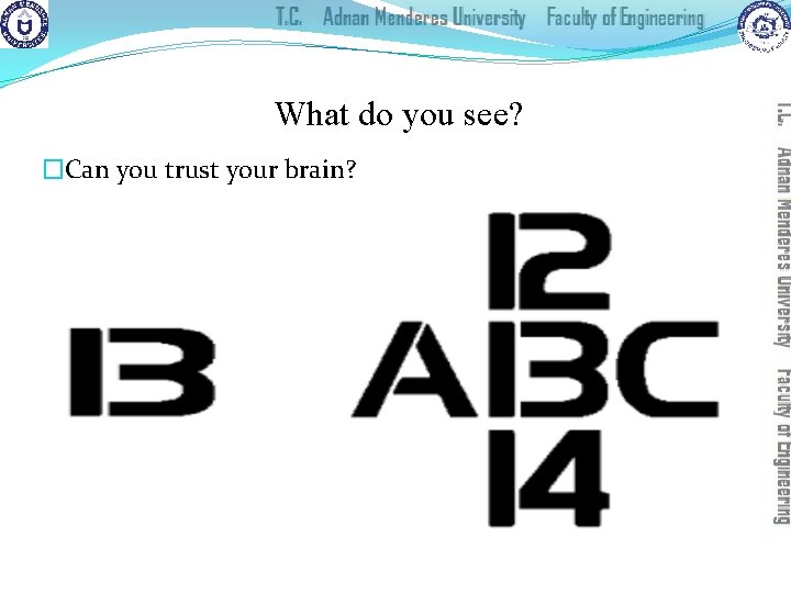 What do you see? �Can you trust your brain? 
