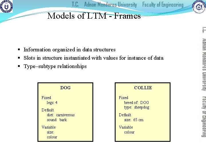 Models of LTM - Frames § Information organized in data structures § Slots in