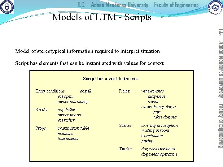 Models of LTM - Scripts Model of stereotypical information required to interpret situation Script