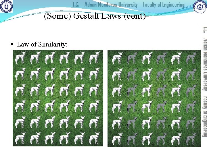 (Some) Gestalt Laws (cont) § Law of Similarity: 