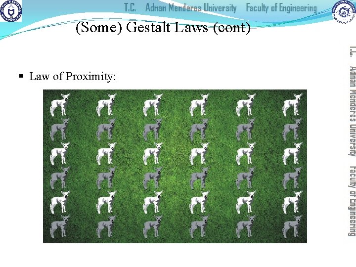 (Some) Gestalt Laws (cont) § Law of Proximity: 