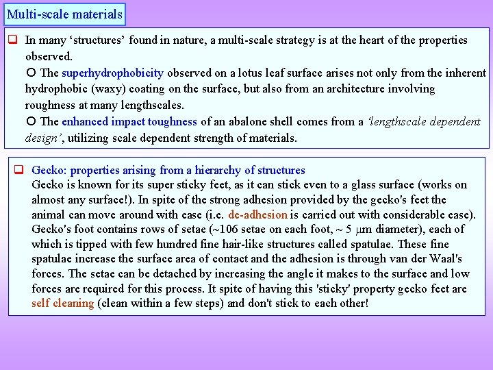 Multi-scale materials q In many ‘structures’ found in nature, a multi-scale strategy is at