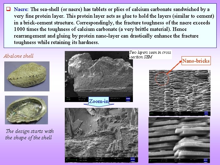 q Nacre: The sea-shell (or nacre) has tablets or plies of calcium carbonate sandwiched