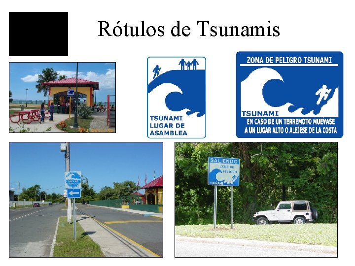 Rótulos de Tsunamis 