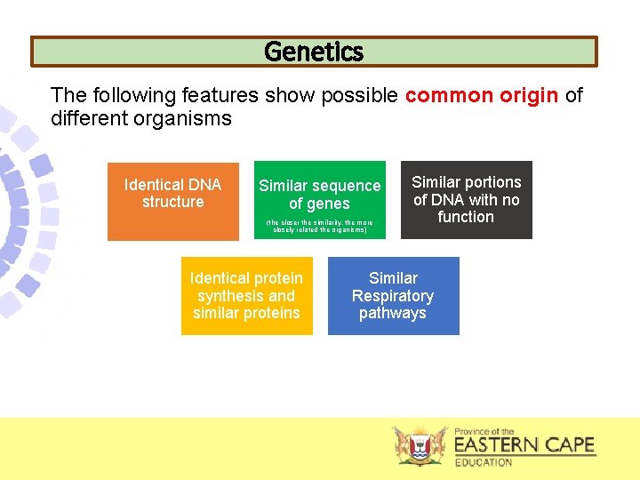 Genetics The following features show possible common origin of different organisms Identical DNA structure