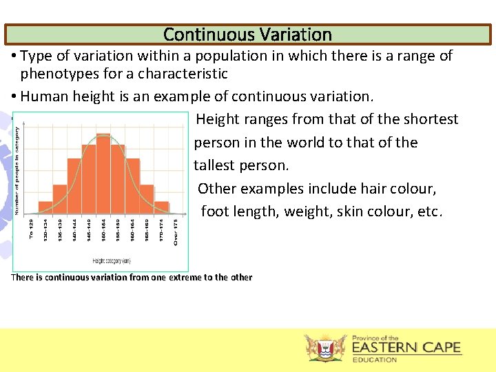 Continuous Variation • Type of variation within a population in which there is a