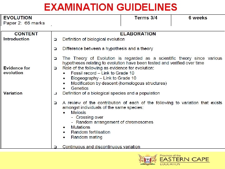 EXAMINATION GUIDELINES 