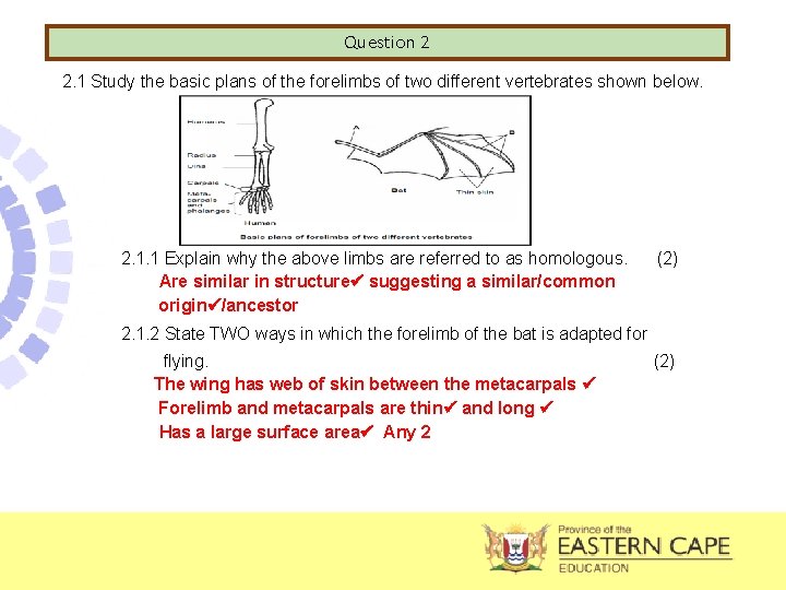 Question 2 2. 1 Study the basic plans of the forelimbs of two different