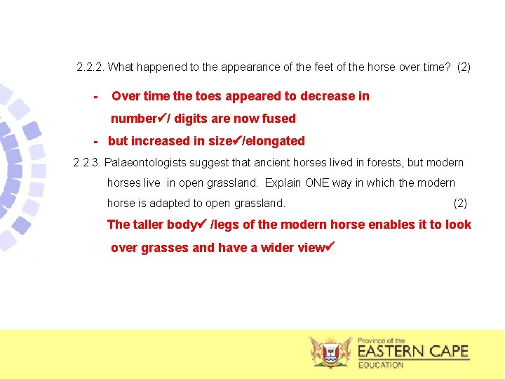 2. 2. 2. What happened to the appearance of the feet of the horse