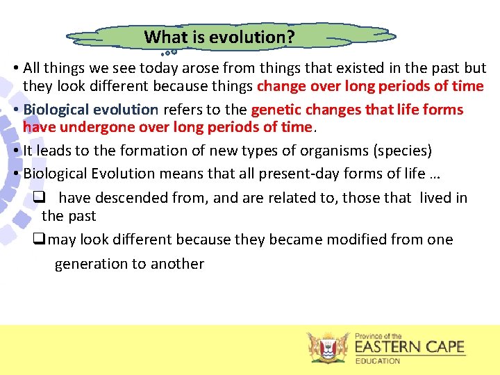 What is evolution? • All things we see today arose from things that existed