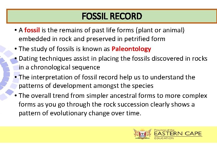 FOSSIL RECORD • A fossil is the remains of past life forms (plant or