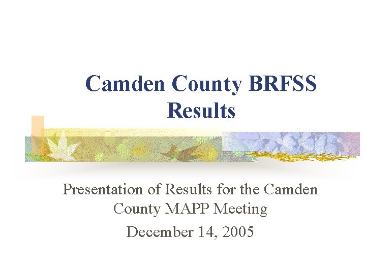 Camden County BRFSS Results Presentation of Results for the Camden County MAPP Meeting December