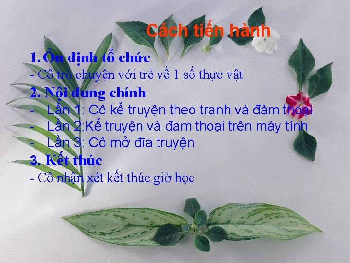 Cách tiến hành 1. Ổn định tổ chức - Cô trò chuyện với trẻ