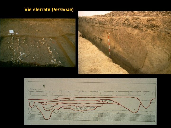 Vie sterrate (terrenae) 