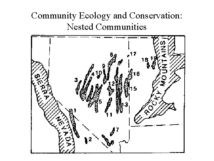 Community Ecology and Conservation: Nested Communities 