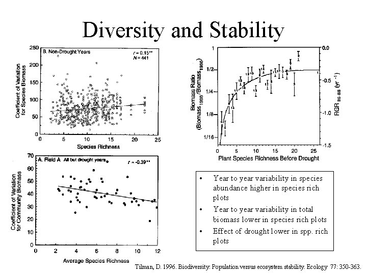 Diversity and Stability • • • Year to year variability in species abundance higher
