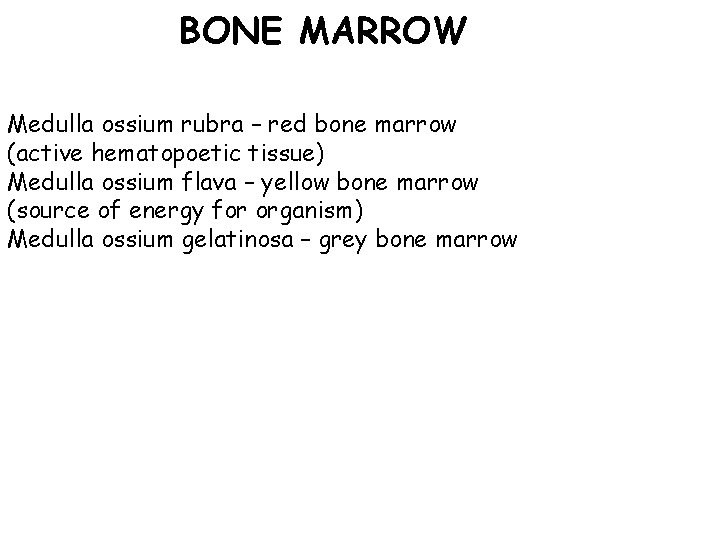 BONE MARROW Medulla ossium rubra – red bone marrow (active hematopoetic tissue) Medulla ossium