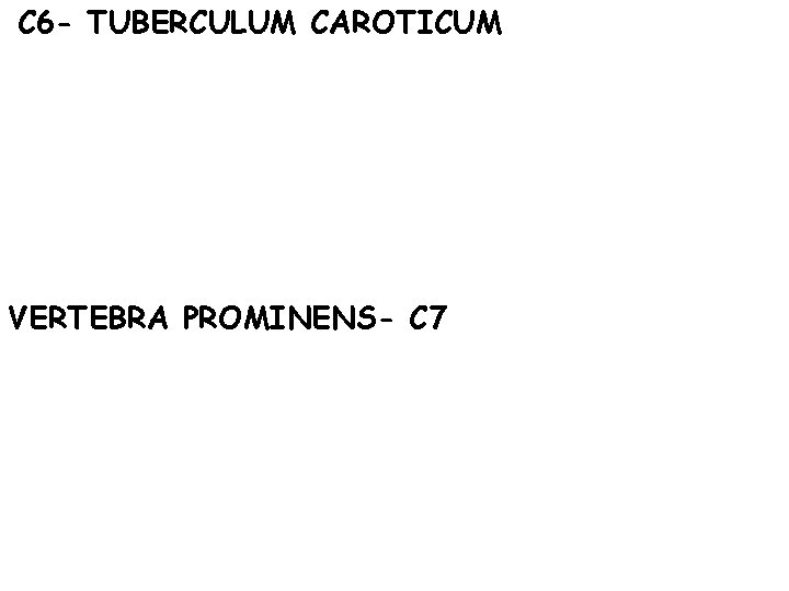 C 6 - TUBERCULUM CAROTICUM VERTEBRA PROMINENS- C 7 