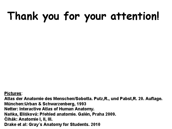 Thank you for your attention! Pictures: Atlas der Anatomie des Menschen/Sobotta. Putz, R. ,
