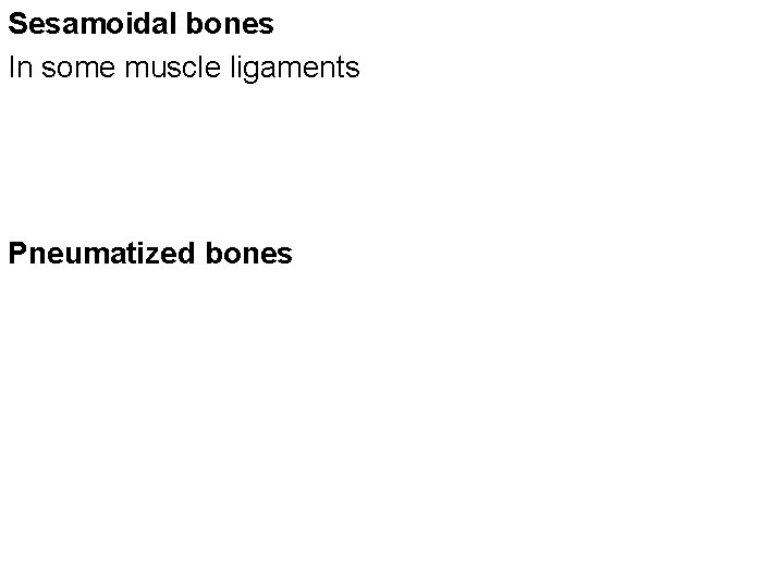 Sesamoidal bones In some muscle ligaments Pneumatized bones 