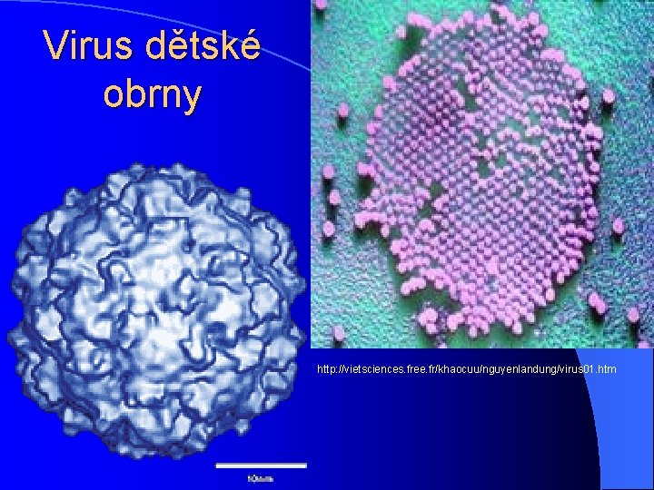 Virus dětské obrny http: //vietsciences. free. fr/khaocuu/nguyenlandung/virus 01. htm 