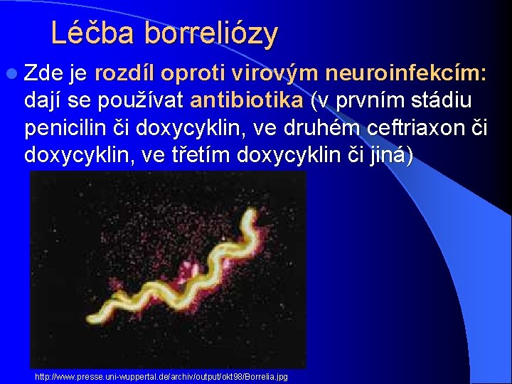 Léčba borreliózy l Zde je rozdíl oproti virovým neuroinfekcím: dají se používat antibiotika (v