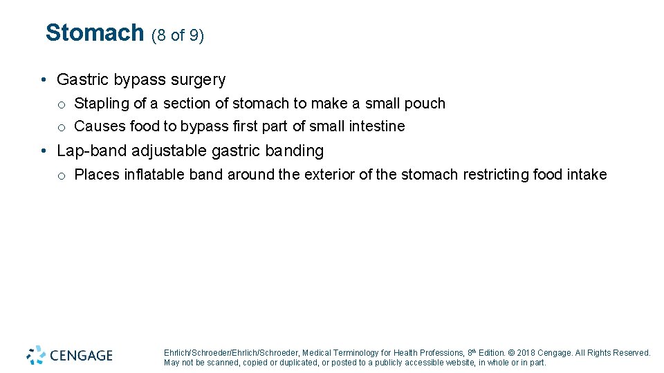 Stomach (8 of 9) • Gastric bypass surgery o Stapling of a section of