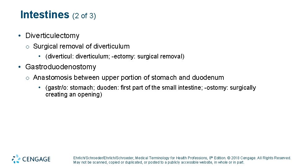 Intestines (2 of 3) • Diverticulectomy o Surgical removal of diverticulum • (diverticul: diverticulum; Intestines (2 of 3) • Diverticulectomy o Surgical removal of diverticulum • (diverticul: diverticulum;
