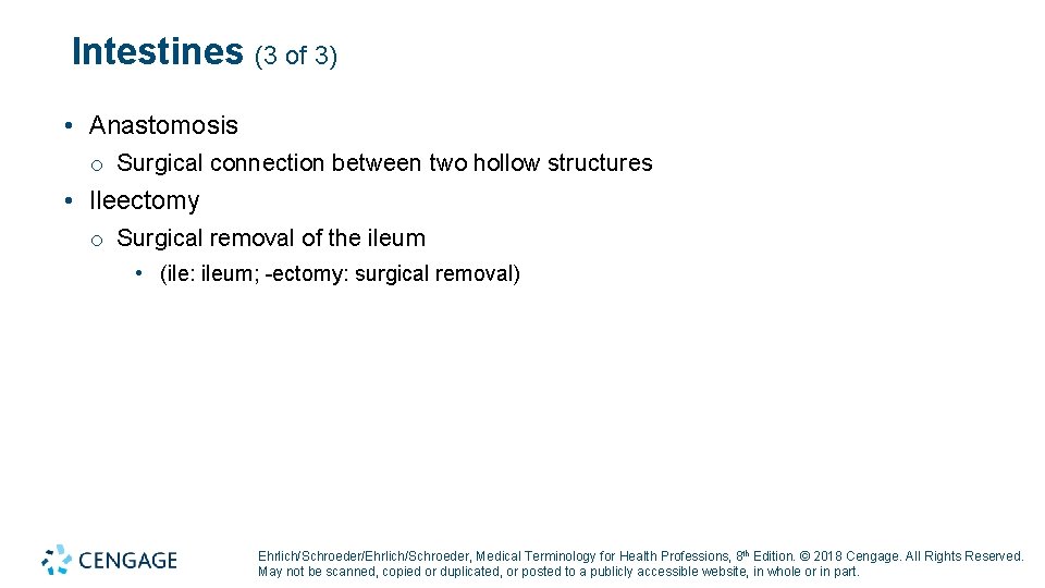 Intestines (3 of 3) • Anastomosis o Surgical connection between two hollow structures •