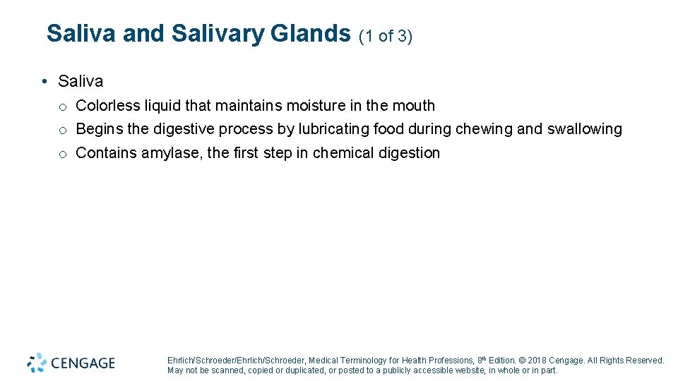 Saliva and Salivary Glands (1 of 3) • Saliva o Colorless liquid that maintains