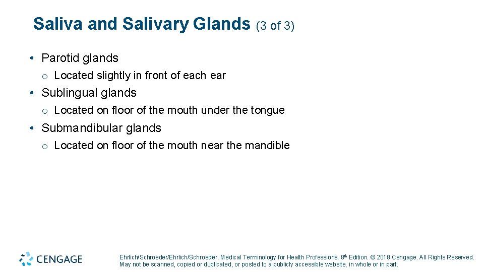 Saliva and Salivary Glands (3 of 3) • Parotid glands o Located slightly in