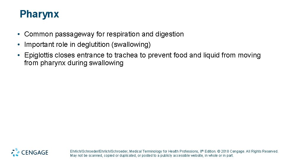 Pharynx • Common passageway for respiration and digestion • Important role in deglutition (swallowing)