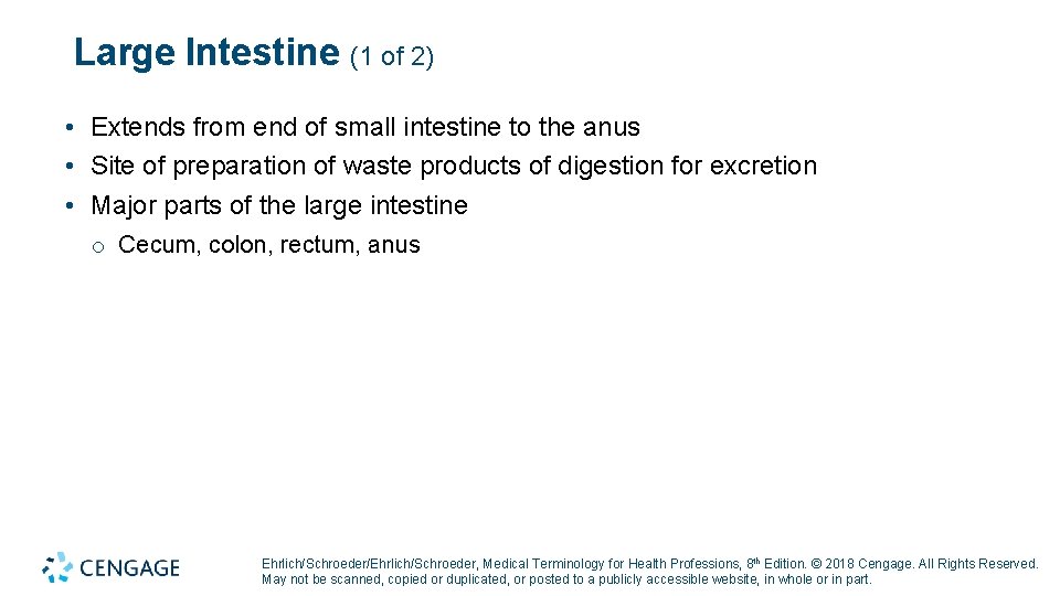 Large Intestine (1 of 2) • Extends from end of small intestine to the Large Intestine (1 of 2) • Extends from end of small intestine to the
