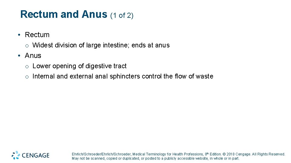 Rectum and Anus (1 of 2) • Rectum o Widest division of large intestine;