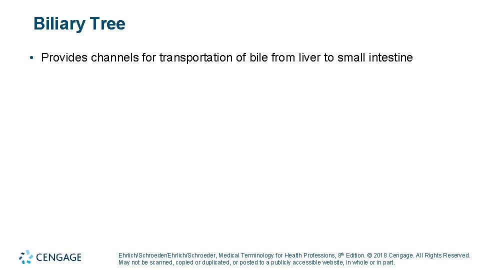 Biliary Tree • Provides channels for transportation of bile from liver to small intestine Biliary Tree • Provides channels for transportation of bile from liver to small intestine