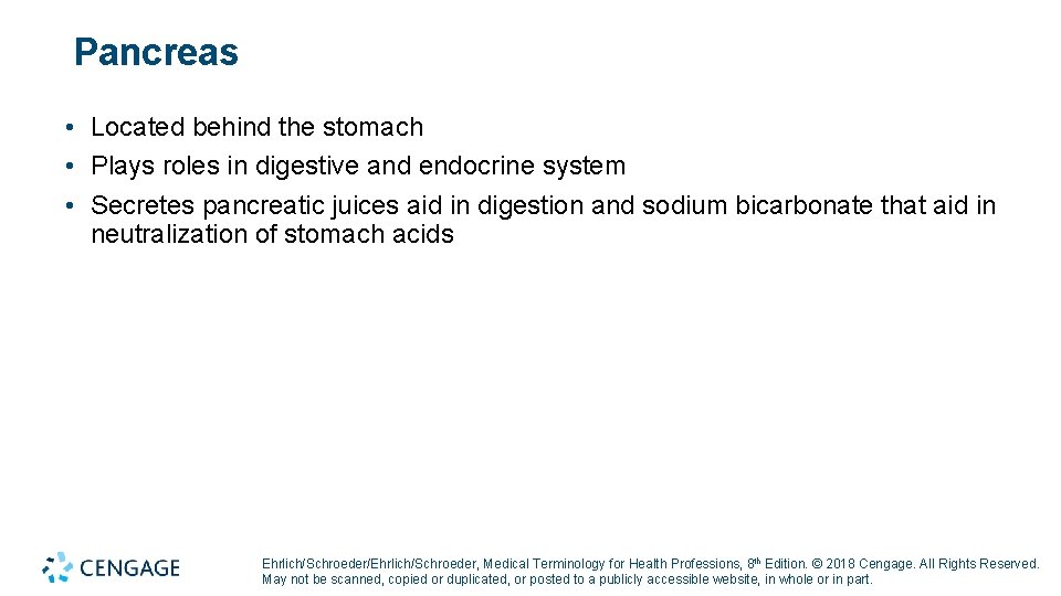 Pancreas • Located behind the stomach • Plays roles in digestive and endocrine system Pancreas • Located behind the stomach • Plays roles in digestive and endocrine system