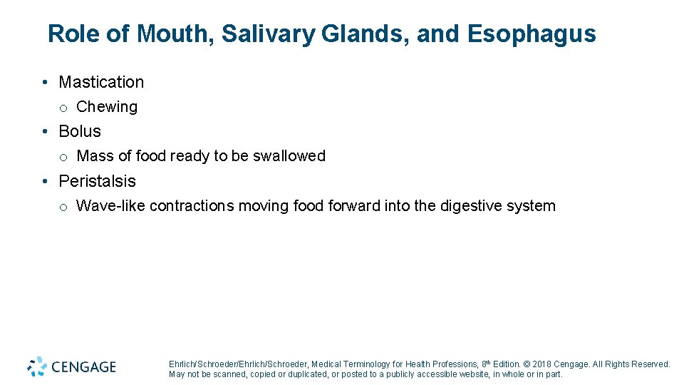 Role of Mouth, Salivary Glands, and Esophagus • Mastication o Chewing • Bolus o Role of Mouth, Salivary Glands, and Esophagus • Mastication o Chewing • Bolus o